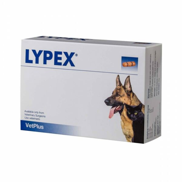 LYPEX – 60 Capsule