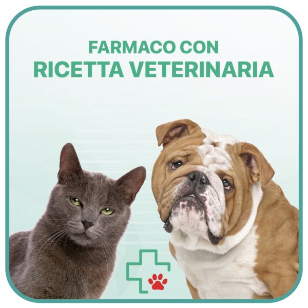 FORTEKOR 2.5 mg – 28 cpr – cani e gatti